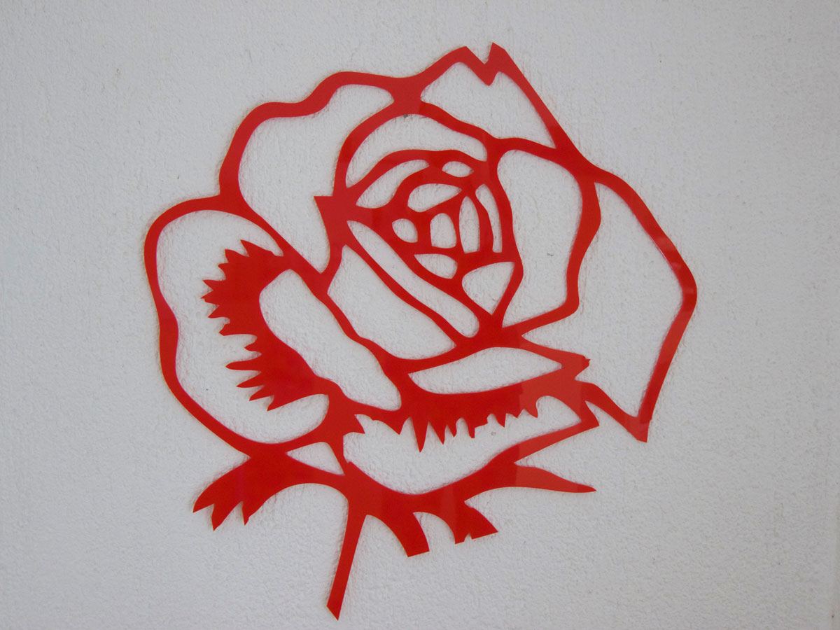 Wandbild einer Rose Wandbild einer Rose